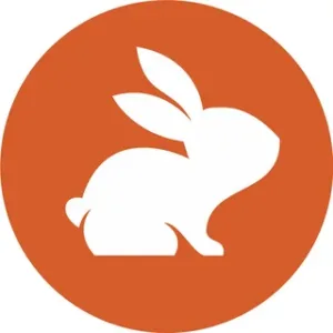 CodeRabbit AI Tools PremiumKing.in