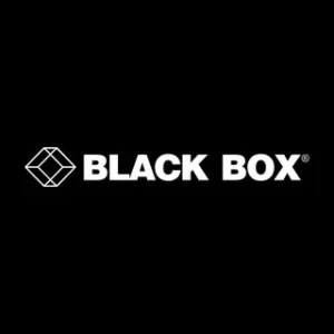 Blackbox AI